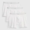 5" Organic Stretch Cotton Boxer Briefs (3-Pack)
