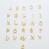 Admiral Row Gold Dainty Initial Necklace