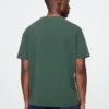 Adult Nfl Green Bay Packers Graphic T-Shirt
