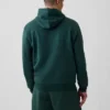 Adult Vintagesoft Arch Logo Hoodie