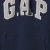 Adult Vintagesoft Arch Logo Hoodie