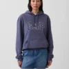Adult Vintagesoft Arch Logo Hoodie