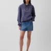 Adult Vintagesoft Arch Logo Hoodie
