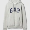 Adult Vintagesoft Arch Logo Hoodie