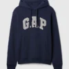 Adult Vintagesoft Arch Logo Hoodie