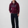 Adult Vintagesoft Arch Logo Zip Hoodie