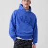 Adult Vintagesoft Nap Logo Hoodie