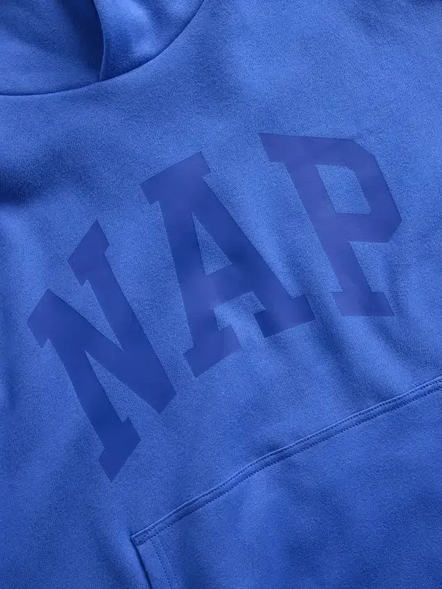 Adult Vintagesoft Nap Logo Hoodie