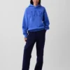 Adult Vintagesoft Nap Logo Hoodie