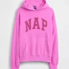 Adult Vintagesoft Nap Logo Hoodie