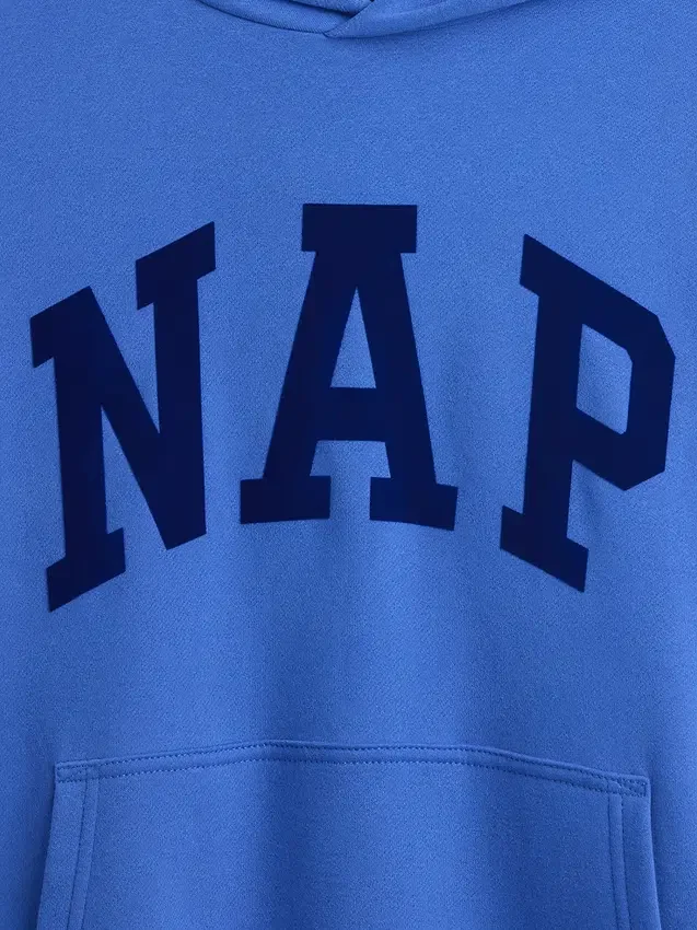 Adult Vintagesoft Nap Logo Hoodie