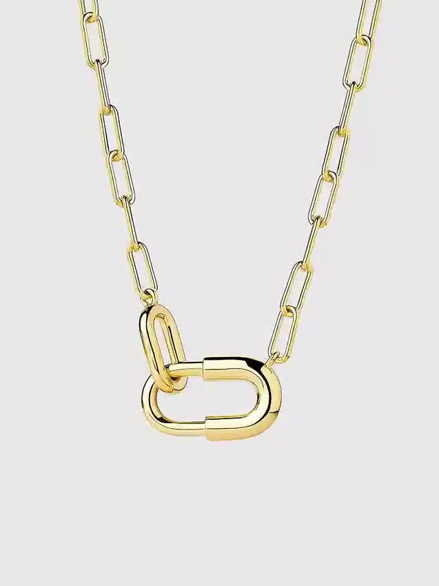 Ana Luisa Blake Large Gold Chain Necklace