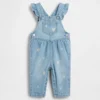 Baby Embroidered Floral Denim Overalls