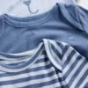 Baby First Favorites Bodysuit (3-Pack)