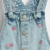 Baby & Toddler Embroidered Denim Shortalls