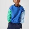 Baby & Toddler Vintagesoft Colorblock Sweatshirt