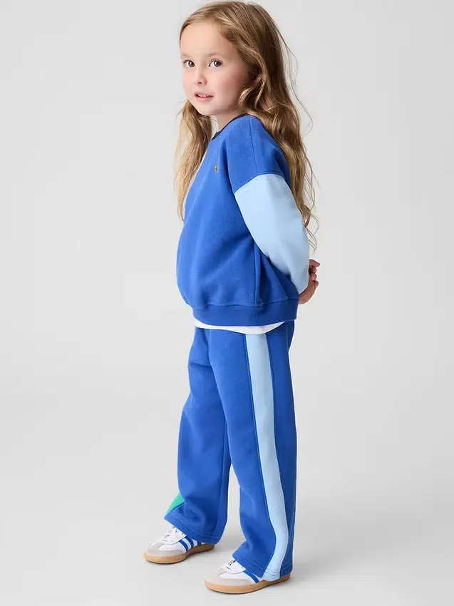 Baby & Toddler Vintagesoft Colorblock Sweatshirt