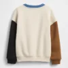 Baby & Toddler Vintagesoft Colorblock Sweatshirt