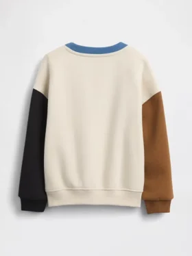 Baby & Toddler Vintagesoft Colorblock Sweatshirt