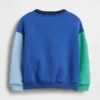 Baby & Toddler Vintagesoft Colorblock Sweatshirt
