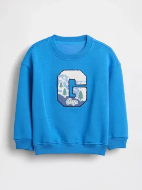 Baby & Toddler Vintagesoft Graphic Logo Sweatshirt