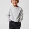 Baby & Toddler Vintagesoft Sweatshirt
