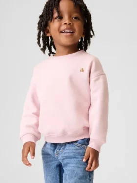 Baby & Toddler Vintagesoft Sweatshirt