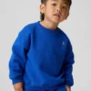 Baby & Toddler Vintagesoft Sweatshirt