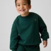 Baby & Toddler Vintagesoft Sweatshirt