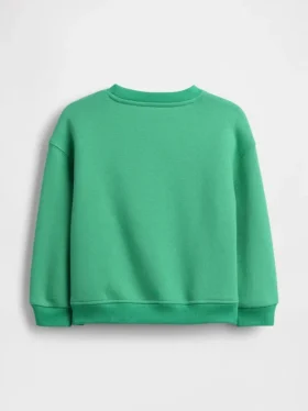 Baby & Toddler Vintagesoft Sweatshirt