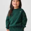 Baby & Toddler Vintagesoft Sweatshirt