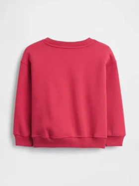 Baby & Toddler Vintagesoft Sweatshirt