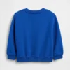 Baby & Toddler Vintagesoft Sweatshirt