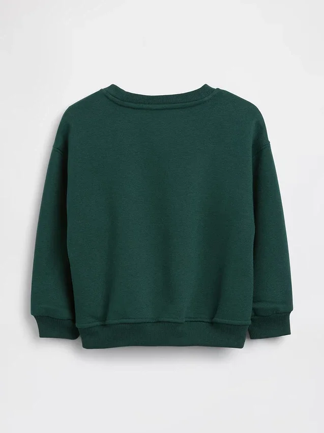 Baby & Toddler Vintagesoft Sweatshirt