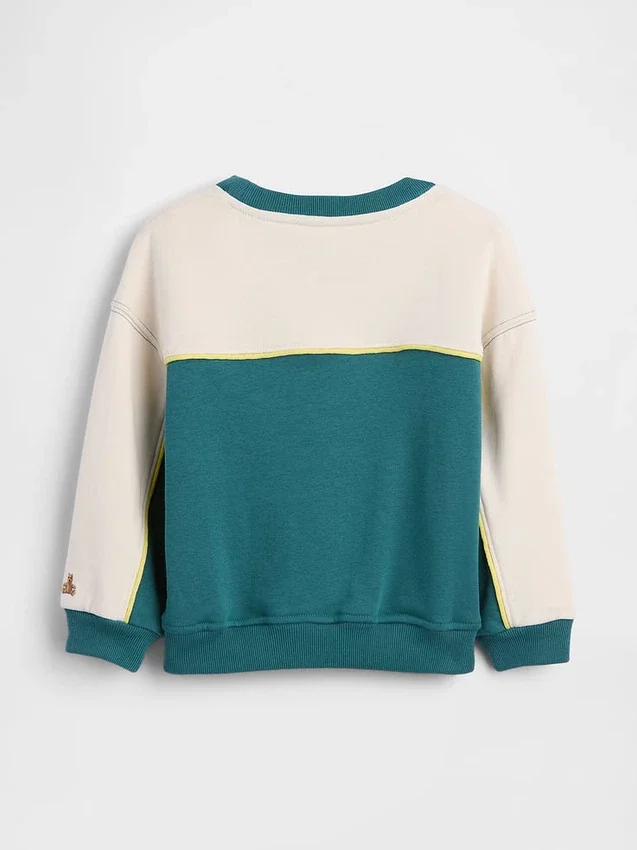 Baby & Toddler Vintagesoft Terry Varsity Sweatshirt