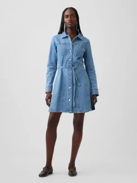 Denim Button-Front Mini Dress