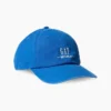 Get Blue Logo Baseball Hat