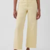 High Rise Stride Wide-Leg Ankle Jeans