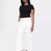 High Rise Stride Wide-Leg Ankle Jeans