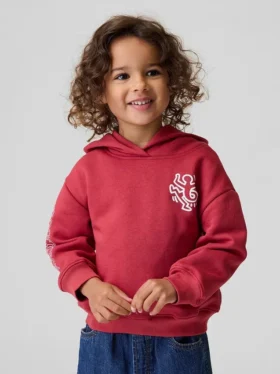 Keith Haring Toddler Vintagesoft Hoodie