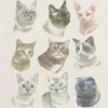 Kids Cat Faces Graphic T-Shirt