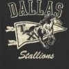 Kids Dallas Stallions Graphic T-Shirt