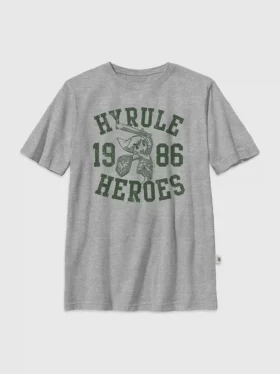 Kids Nintendo Zelda Hyrule Heroes Graphic T-Shirt