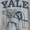 Kids Yale University Graphic Sweatshirt