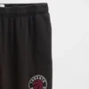 Nba Toronto Raptors Logo Heavyweight Joggers