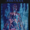 Nirvana Heavyweight Crop Graphic T-Shirt
