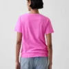 Organic Cotton Vintagesoft V-Neck T-Shirt