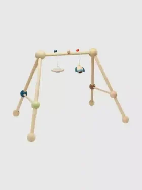 Play Gym