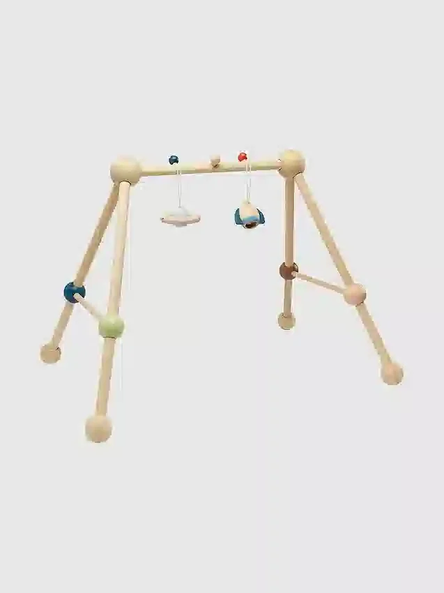 Play Gym