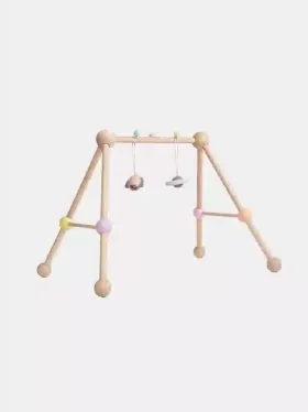 Play Gym